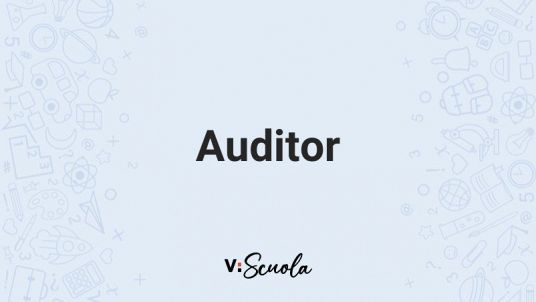 auditor